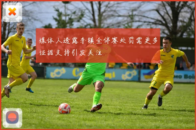 媒体人透露李镇全停赛处罚需更多证据支持引发关注